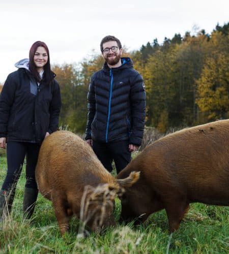 Nature-Friendly Farming Apprentice, Elli Foxton with supervisor Joe Clements, Conservation Manager at Lowther with two Tamworth Pigs used for conservation grazing at Lowther