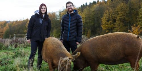 Nature-Friendly Farming Apprentice, Elli Foxton with supervisor Joe Clements, Conservation Manager at Lowther with two Tamworth Pigs used for conservation grazing at Lowther