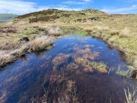 Peat Bog Restoration on Mardale Common. Photo credit Jim Holmes at Ashden